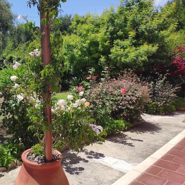 La Casa Di Giada, Appartamento In Villetta Con Aria Condizionata, Wi-Fi E Parcheggio Gratuito Poggi エクステリア 写真
